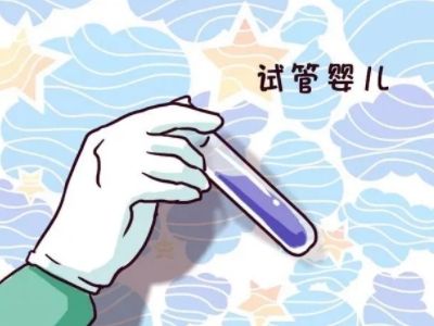 私人同性供卵代孕报价多少